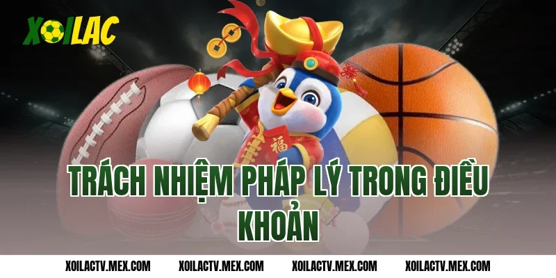 Trách nhiệm pháp lý trong Điều Khoản